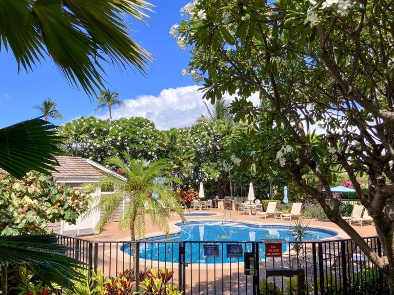 Pool area framed by plumeria trees at Grand Champions Villas in Wailea