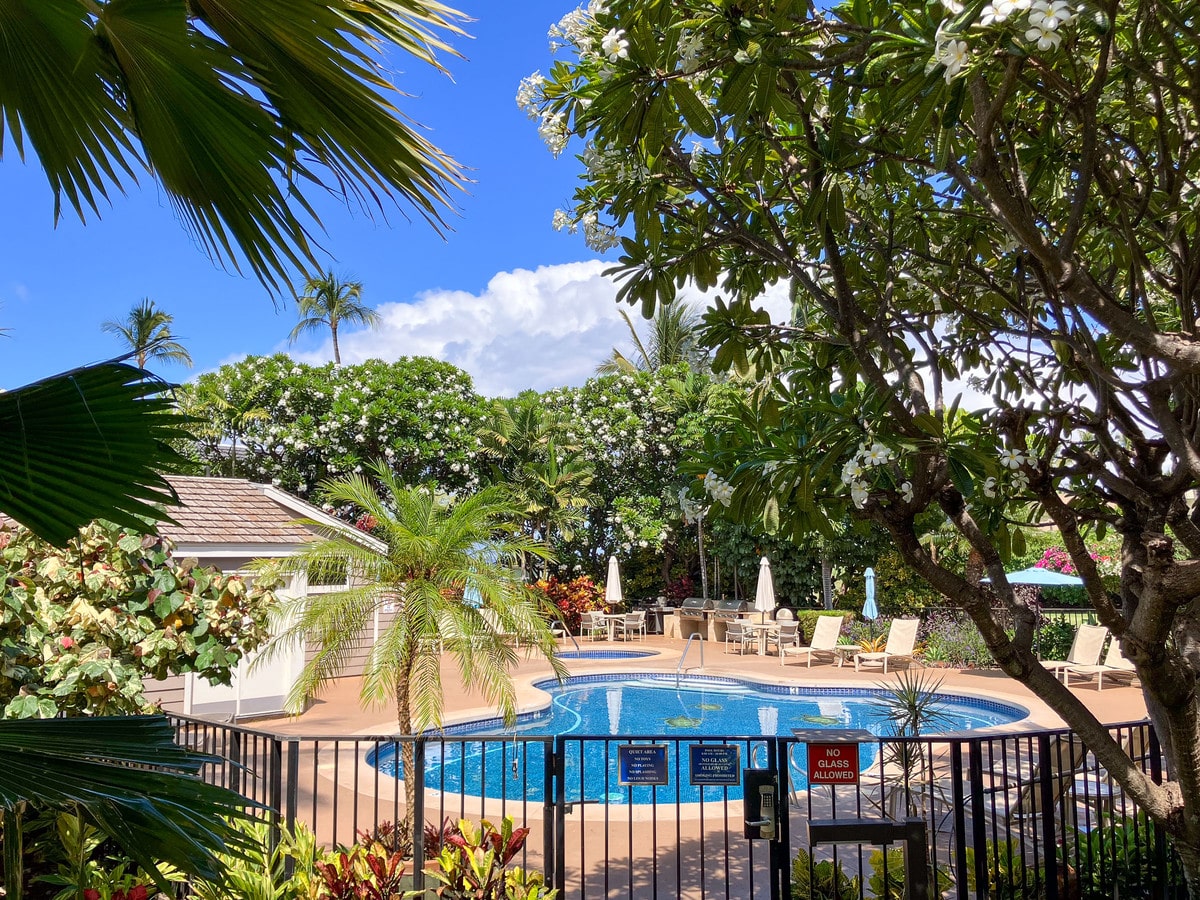 Pool area framed by plumeria trees at Grand Champions Villas in Wailea
