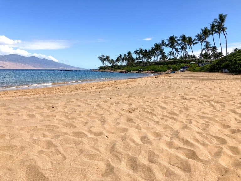 Empty golden sand at Mokapu Beach in Wailea, Maui, under a clear blue sky