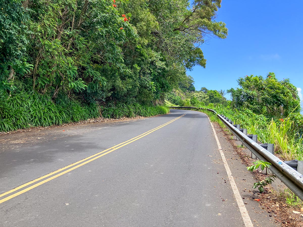 Empty stretch of the Hana Highway through the jungle