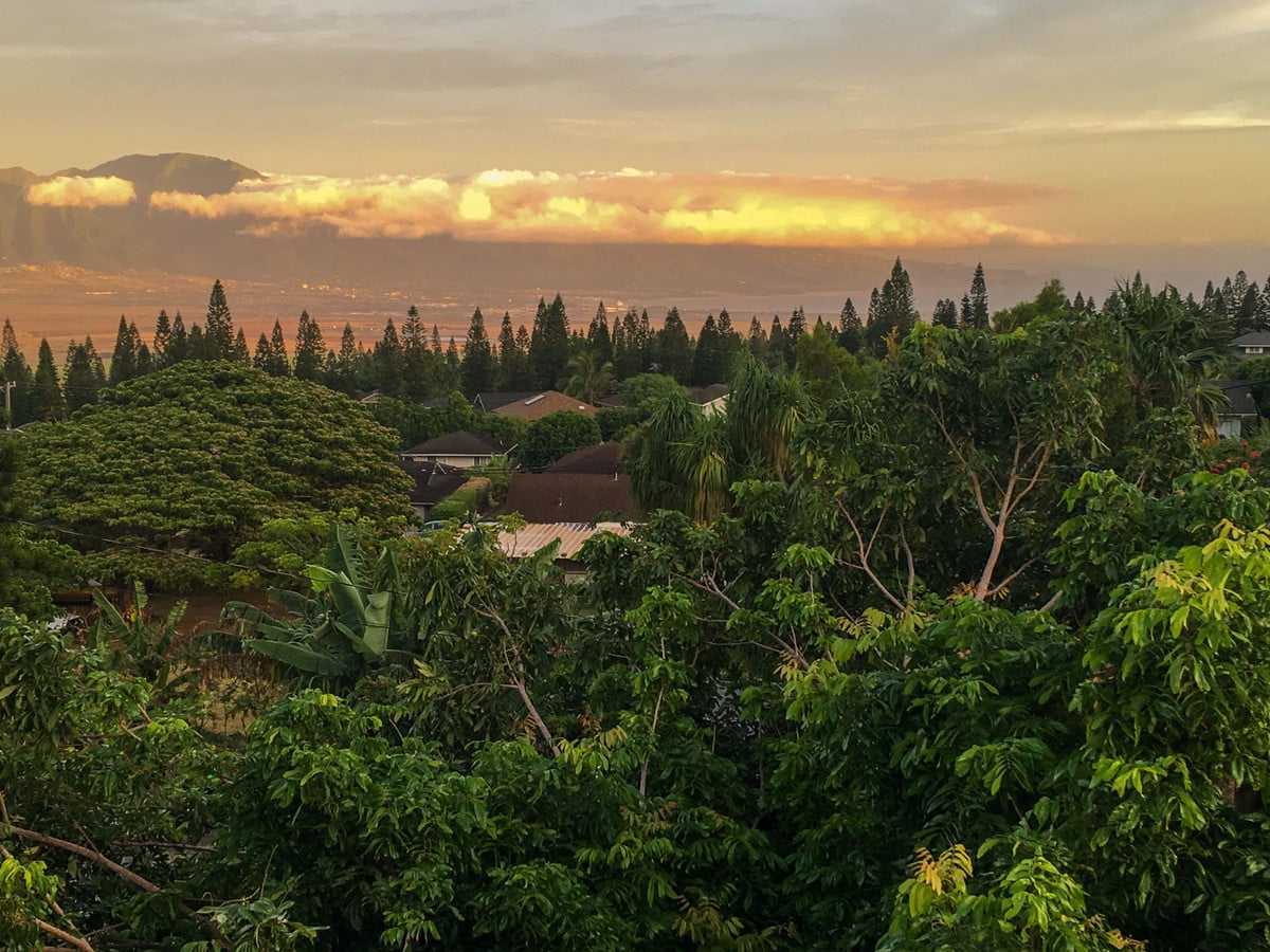 Sunset view over Upcountry Maui treetops and rooftops toward the West Maui Mountains